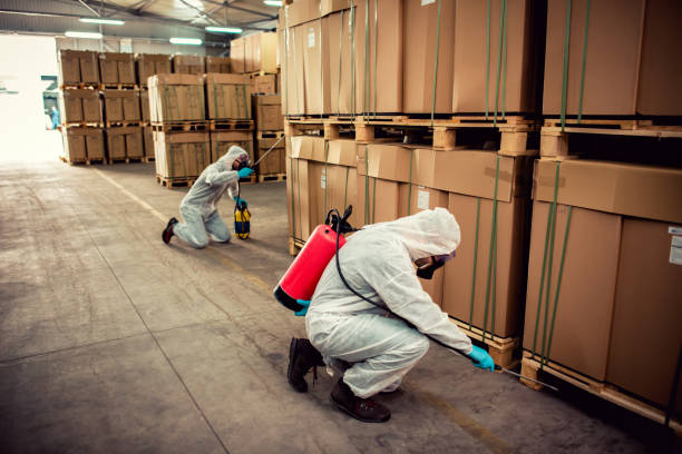 Best Pest Control Near Me  in Lyons, GA