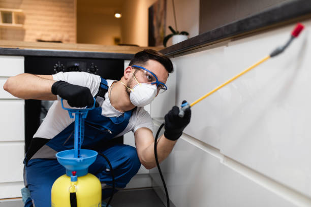 Pest Control Cost in Lyons, GA
