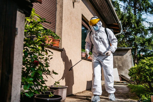 Best Pest Control Cost  in Lyons, GA
