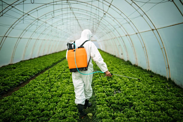 Best Mosquito Control Services  in Lyons, GA