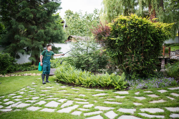 Best Ant Control Services  in Lyons, GA