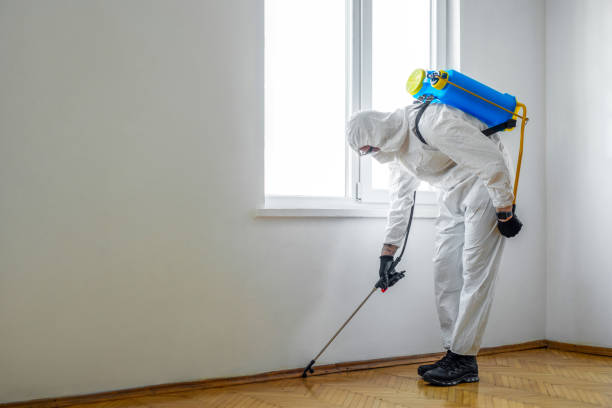 Best Termite Control Services  in Lyons, GA