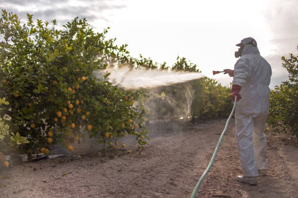 Best Affordable Pest Control Services  in Lyons, GA