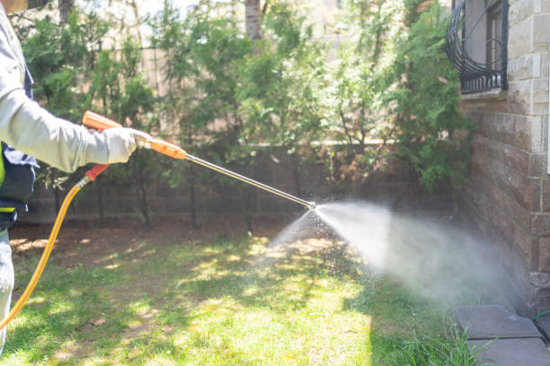 Best Emergency Pest Control  in Lyons, GA