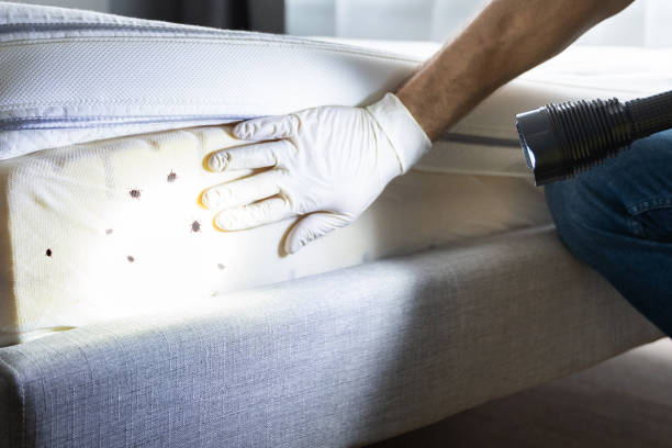 Professional Pest Control in Lyons, GA