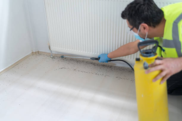 Best Best Pest Control Companies  in Lyons, GA